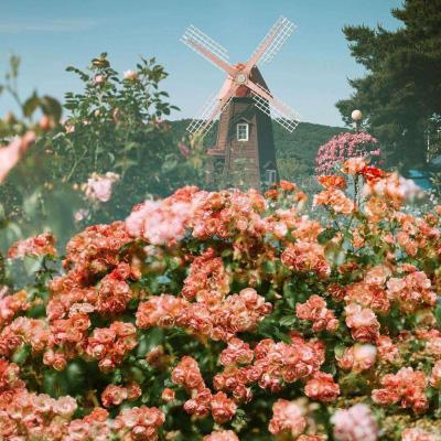 乐鱼游戏app在线登录下载手机版