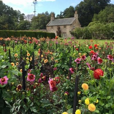 安博体育最新登录地址