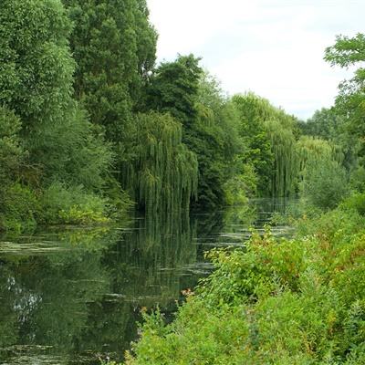 半岛彩票·中国官方网站