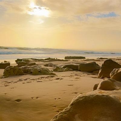 麻将胡了appapp下载