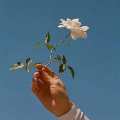 b体育官方app下载下载手机版