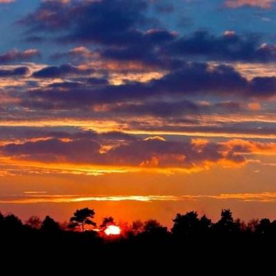 998娱乐彩票安卓APPapp下载