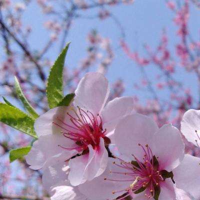 万博全站APP最新版